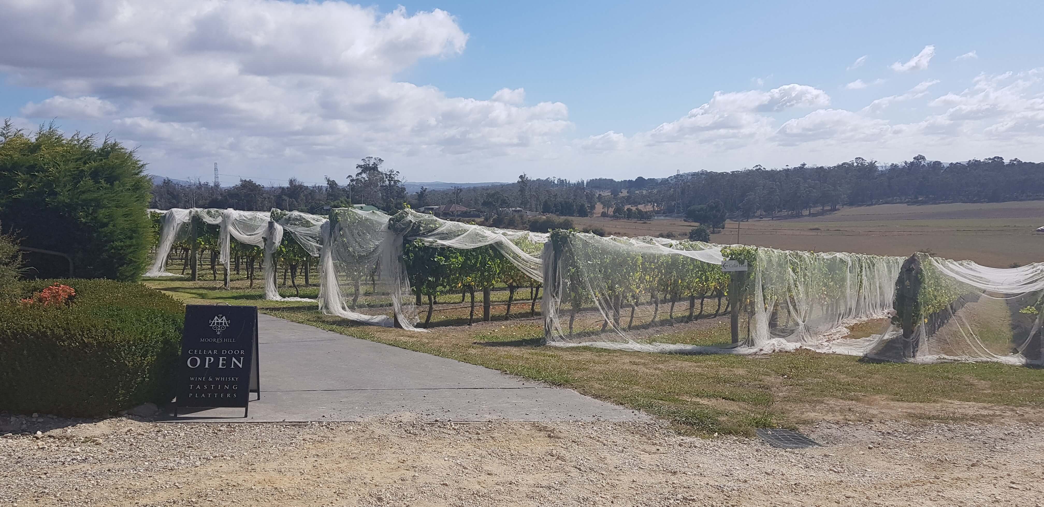 Australian Wine Consultants Moore's Hill Estate Tamar Valley Tasmania